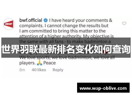 世界羽联最新排名变化如何查询