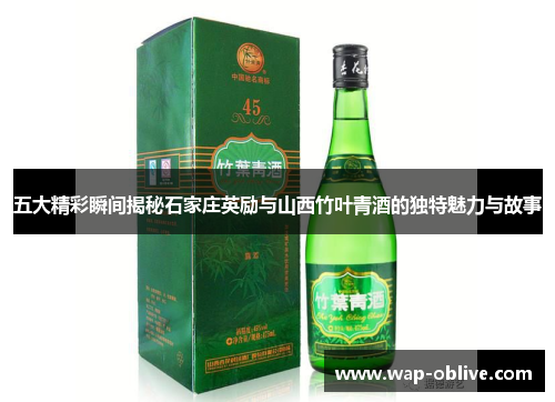 五大精彩瞬间揭秘石家庄英励与山西竹叶青酒的独特魅力与故事
