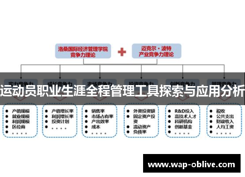 运动员职业生涯全程管理工具探索与应用分析