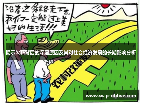 揭示欠薪背后的深层原因及其对社会经济发展的长期影响分析