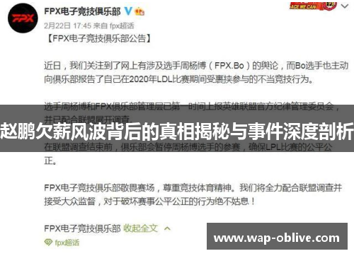 赵鹏欠薪风波背后的真相揭秘与事件深度剖析
