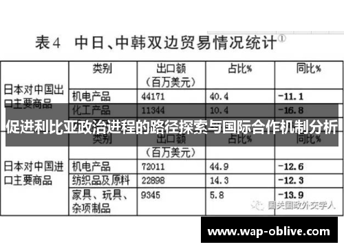 促进利比亚政治进程的路径探索与国际合作机制分析
