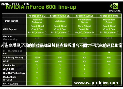 选购高质量足球的推荐品牌及其特点解析适合不同水平玩家的选择指南