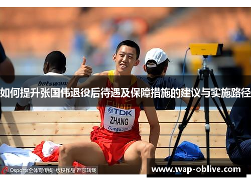 如何提升张国伟退役后待遇及保障措施的建议与实施路径