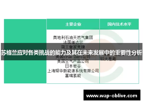 苏格兰应对各类挑战的能力及其在未来发展中的重要性分析