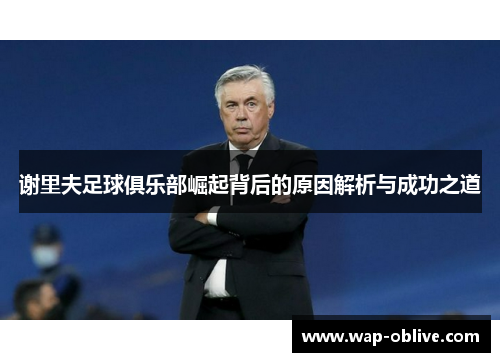 谢里夫足球俱乐部崛起背后的原因解析与成功之道