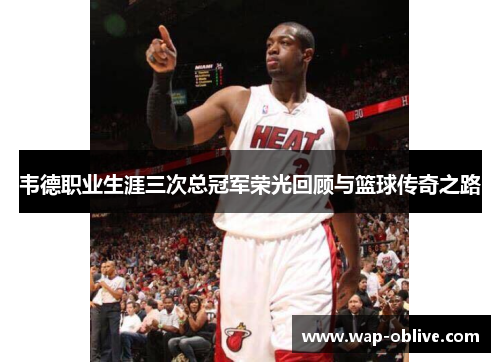 韦德职业生涯三次总冠军荣光回顾与篮球传奇之路
